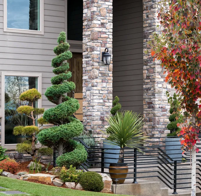 Depositphotos_222866418_S_result